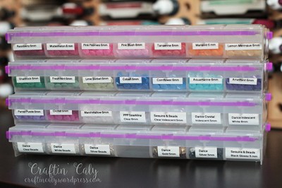 Sequins Organization 1