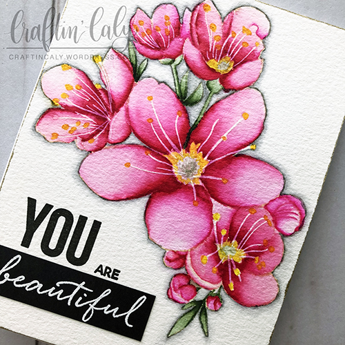 EH Mondo Sakura - 3 Layers Tombow