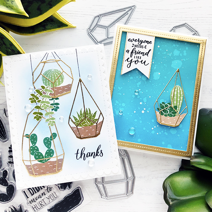 PFS Succulent Terrariums