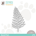 SSS Sword Fern