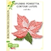 BPD Splendid Poinsettia Contour Layers
