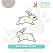 SSS Bounding Bunnies