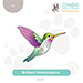SSS Brilliant Hummingbird