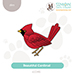 SSS Beautiful Cardinal