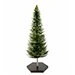 CraftedbyC9 Forest Fir - Small Tree